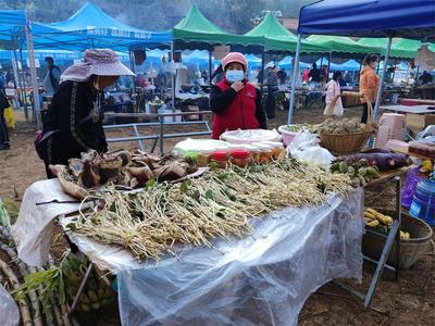 蚌弄山春田花会，激起宁洱那勐勐村乡村旅游新浪潮！