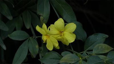 图组丨踏着春光，迎接弥勒春暖花开