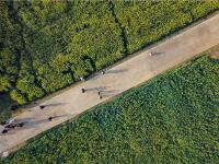 图集 | 华侨城乌龙古渔村 新晋网红打卡地