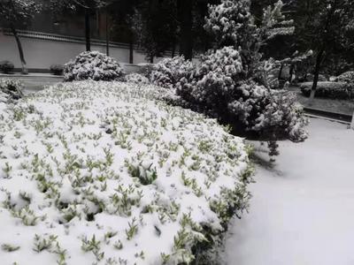 寒潮预警持续！红河文旅提醒您出行注意路况信息