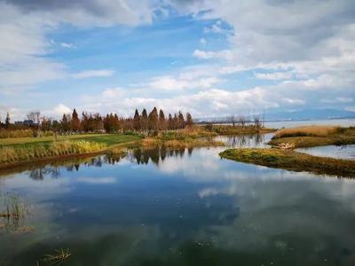 昆明官渡区春节期间旅游市场平稳有序 游客接待量达49.1万人次