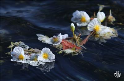 奋进新征程 建功新时代｜云南省牢固树立绿水青山就是金山银山理念——深耕绿色发展沃土 培育绿色发展动能