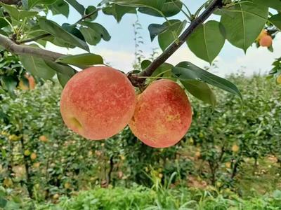 【盘点】你好！请查收本周的大理文旅要闻！