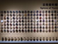 图集｜扶荔宫再次开园 快邀约家人一起打卡吧