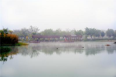 开远凤凰生态公园雨后美如画 云腾雾涌似仙境