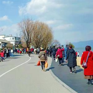 【关注】虎年春节，大理文旅市场亮点纷呈！