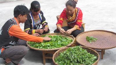 春日好礼，太和甜茶！