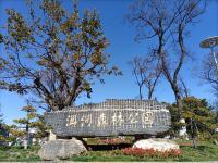 【图集 | 洱河森林公园：群花竞放 鸭鸥云集 新人扎堆拍婚照】