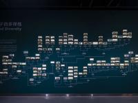 图集｜扶荔宫再次开园 快邀约家人一起打卡吧