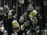 图集｜扶荔宫再次开园 快邀约家人一起打卡吧