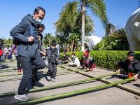 图集｜阳光明媚易出行 民族村里把年闹