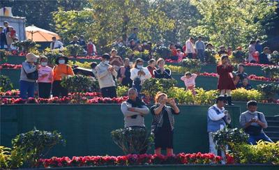 春节“黄金周”普洱文旅市场平稳有序  亮点纷呈