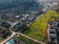 图集 | 华侨城乌龙古渔村 新晋网红打卡地