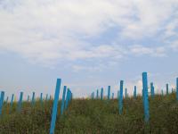 【图集 | 在东风韵艺术小镇赏建筑艺术 自然美景】