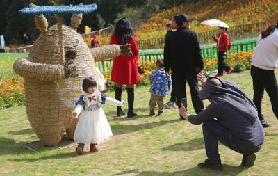 春节假期，玉溪市接待游客103.31万人次！