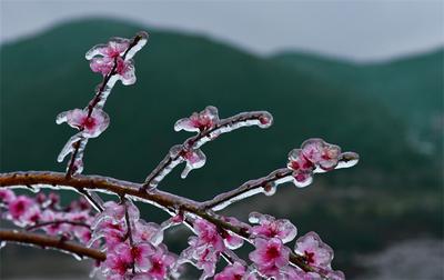 绝美！开远虎年初雪图来袭！