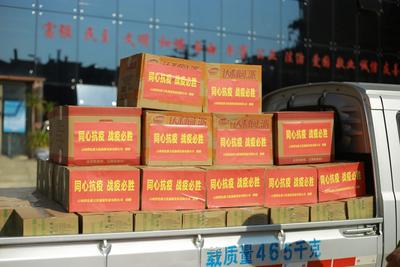 蒙自碧色寨景区向河口县捐赠抗疫爱心物资