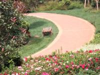 【图集 | 在东风韵艺术小镇赏建筑艺术 自然美景】