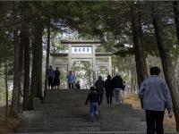 图集 | 新春伊始 登巍宝山赏景