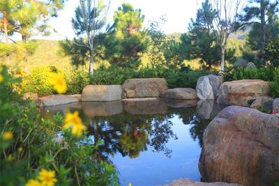 春节假期倒计时！玉溪舒缓身心的温泉之旅安排起来