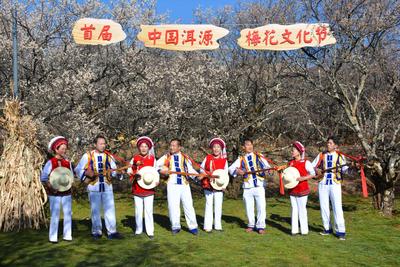 【中国最佳爱情表白地】“梅”你不行 首届洱源梅花节花香四溢