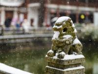 图集 | 春雪中 昆明西山银装素裹 游人纷至沓来