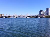 【图集 | 洱河森林公园：群花竞放 鸭鸥云集 新人扎堆拍婚照】