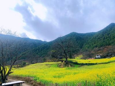 茶腊，传统怒族村寨