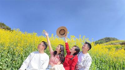 蚌弄山春田花会，激起宁洱那勐勐村乡村旅游新浪潮！