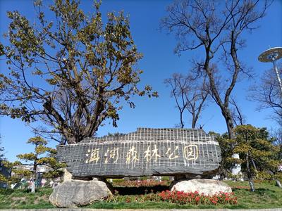 【图集 | 洱河森林公园：群花竞放 鸭鸥云集 新人扎堆拍婚照】