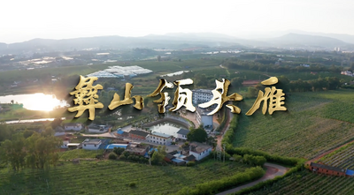 视频 | 《彝山领头雁》李云燕专题纪录片