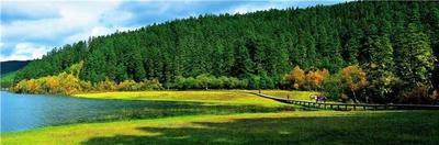  就爱去云南 | 冬去春来 跨越山河遇见世界的香格里拉