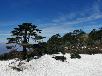 昆滇大地秒入夏？神奇轿子山让你一秒穿越回冬天！