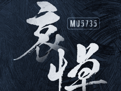 “3·21”东航MU5735航班机上132人全部遇难