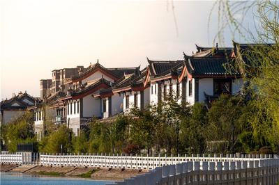 精彩继续！“云游大姚”带你走进一场别开生面的探春之旅