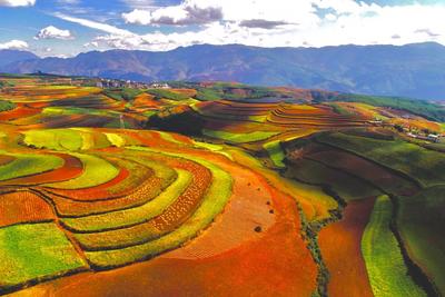 春天的云南，“色彩的盛宴”！