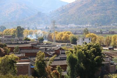 【非遗云赏】平川唢呐调