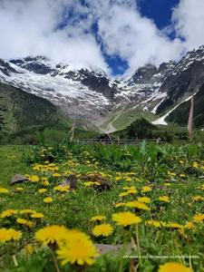 雨崩终于恢复游览！这个地方凭什么被称为“天堂”？一看便知！