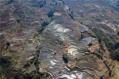 图集 | 元阳梯田 劳动人民雕刻的田园风光