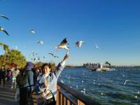 【图集 | 一别又一年 再在昆明看看红嘴鸥吧】