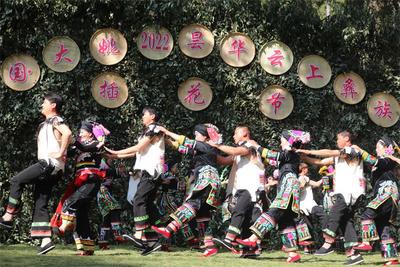 云播大姚即将启幕，快来一键开启云上“花花世界”