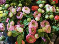 【图集 | “女神节” 到岔街花市 选束花送给女神】