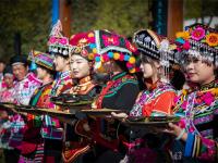 图集 | 彝族人民把花插 大姚传奇插花节
