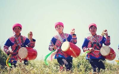 云播虎乡 彰显双柏虎文化魅力