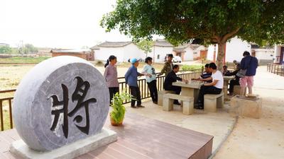 永仁猛虎乡：深耕象棋文化 赋能“四美”乡村