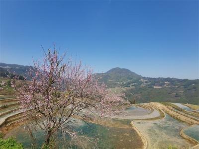 普洱春暖花开季，陌上春耕正当时！