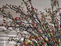 【图集 | “女神节” 到岔街花市 选束花送给女神】