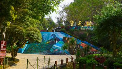 望天树景区开园了！跟着雨林拥抱春天