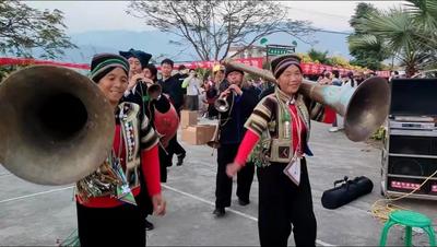 首届云南元江芦荟花节成功举办