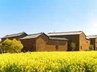 图集 | 乌龙渔村风光正好 油菜花开引人入胜